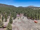 12778 Larkspur Lane - Photo 42