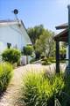 1256 Reata Trail - Photo 37
