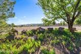 1256 Reata Trail - Photo 41