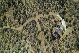 12650 Sundancer Trail - Photo 33