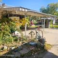 353 Whipple Street - Photo 18