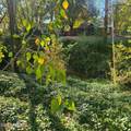 353 Whipple Street - Photo 42