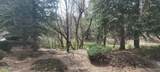 298 Mahogany Lane - Photo 33