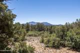 15864 Silent Moon Lane - Photo 67