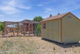 3420 Yucca Lane - Photo 39