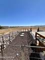 1187 Chuck Wagon Lane - Photo 41
