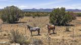 23962 Headwaters Road - Photo 7
