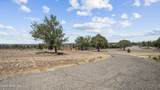 885 Rolling Hills Road - Photo 53
