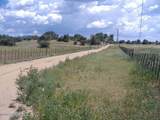 10499 Tough Country Trail - Photo 16