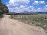 10499 Tough Country Trail - Photo 18