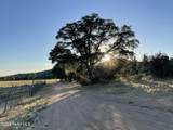 10499 Tough Country Trail - Photo 19