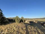 10499 Tough Country Trail - Photo 22