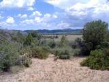 10499 Tough Country Trail - Photo 25