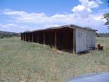 10499 Tough Country Trail - Photo 27