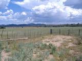 10499 Tough Country Trail - Photo 29