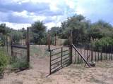 10499 Tough Country Trail - Photo 30