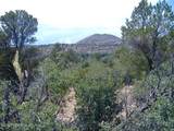 10499 Tough Country Trail - Photo 31