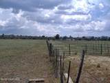 10499 Tough Country Trail - Photo 32