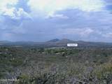 10499 Tough Country Trail - Photo 35