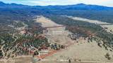 10499 Tough Country Trail - Photo 43