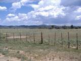 10499 Tough Country Trail - Photo 5