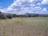 10499 Tough Country Trail - Photo 7
