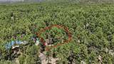 1422 Cima De Pina - Photo 2