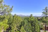 1541 Scotch Pine Drive - Photo 12