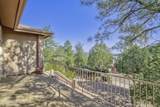 1541 Scotch Pine Drive - Photo 14