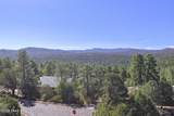 1541 Scotch Pine Drive - Photo 51