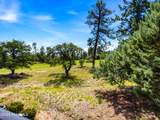 1716 Alpine Meadows Lane - Photo 36