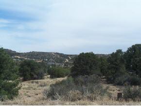 12985 Electra Road - Photo 1