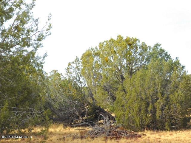 55865 Dominion Drive - Photo 1