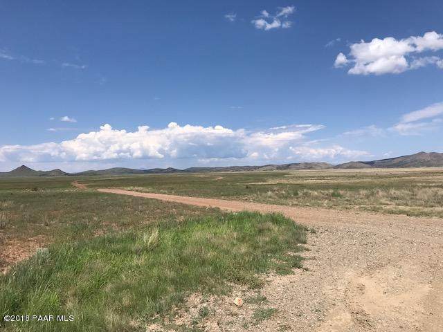 End Antelope Meadows Drive - Photo 1