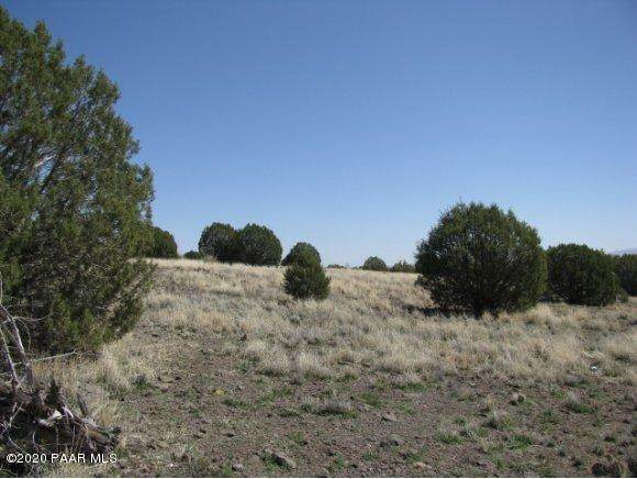 675 Son Shine Lane - Photo 1