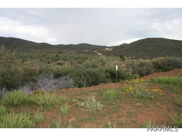430 Flying Fox Trail - Photo 1
