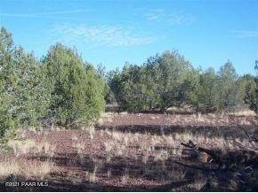 1423 Canyon Road - Photo 1