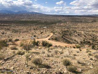 Lot 63 Mountain Goat Road - Photo 1