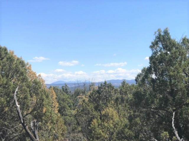 190 China Grove Pass - Photo 1