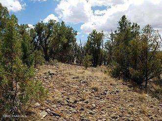 814 Sierra Verde Ranch - Photo 1