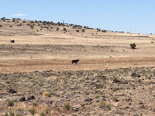 00 Rock Ledge Road - Photo 1
