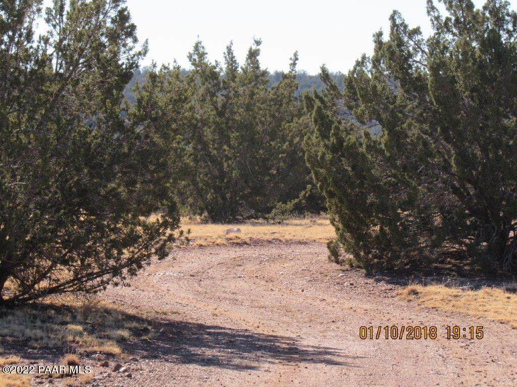 Lot 189 Juniperwood Ranch - Photo 1