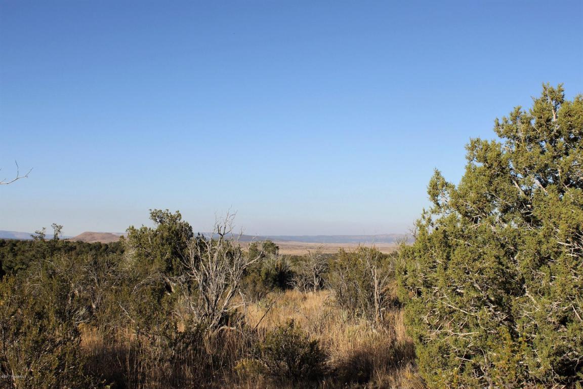 None Seligman - Photo 1