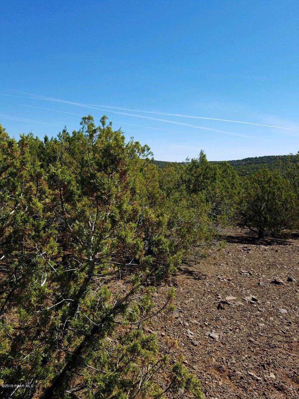 141 Pineveta - Photo 1