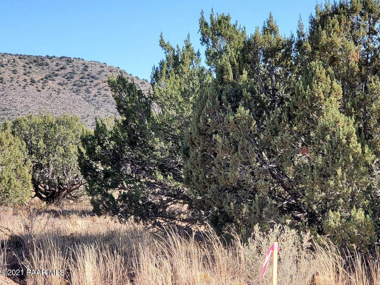 1703 Silent Spring Canyon - Photo 1