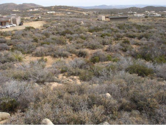0 Triple D Ranch Road - Photo 1