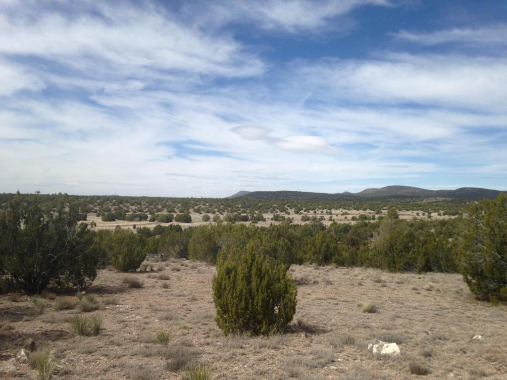 607 Younger Trail - Photo 1