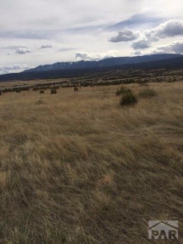 Lot 55 Twin Buttes - Photo 1