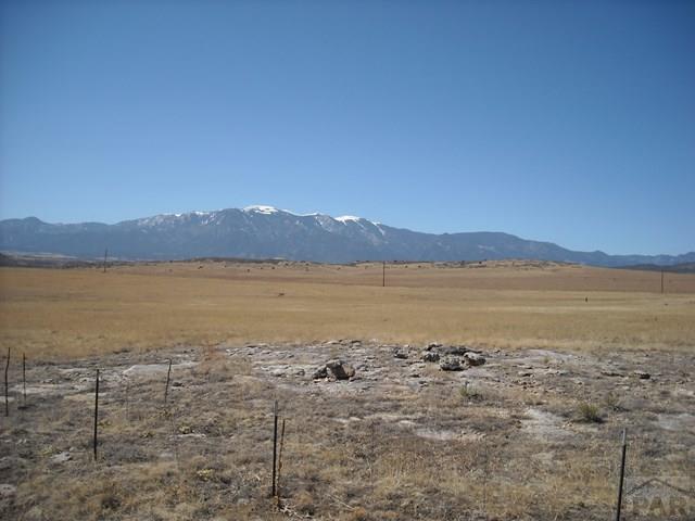 TBD Little Floyd Rd - Photo 1