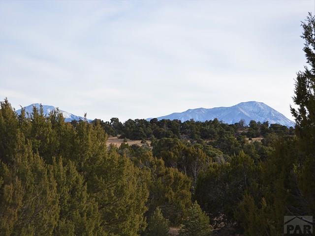 TBD Comanche Dr - Photo 1
